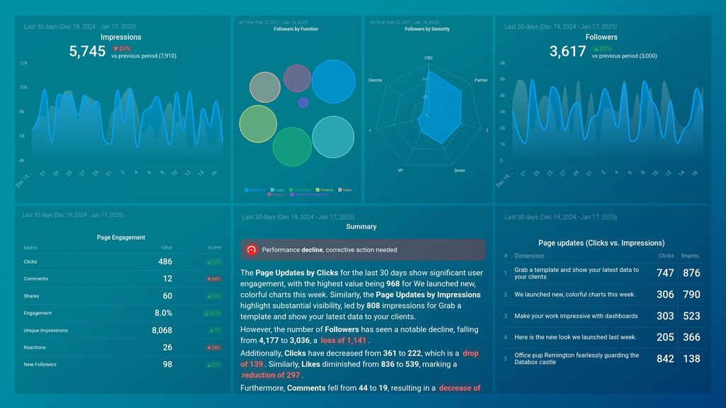 LinkedIn Company Page Engagement Dashboard Template