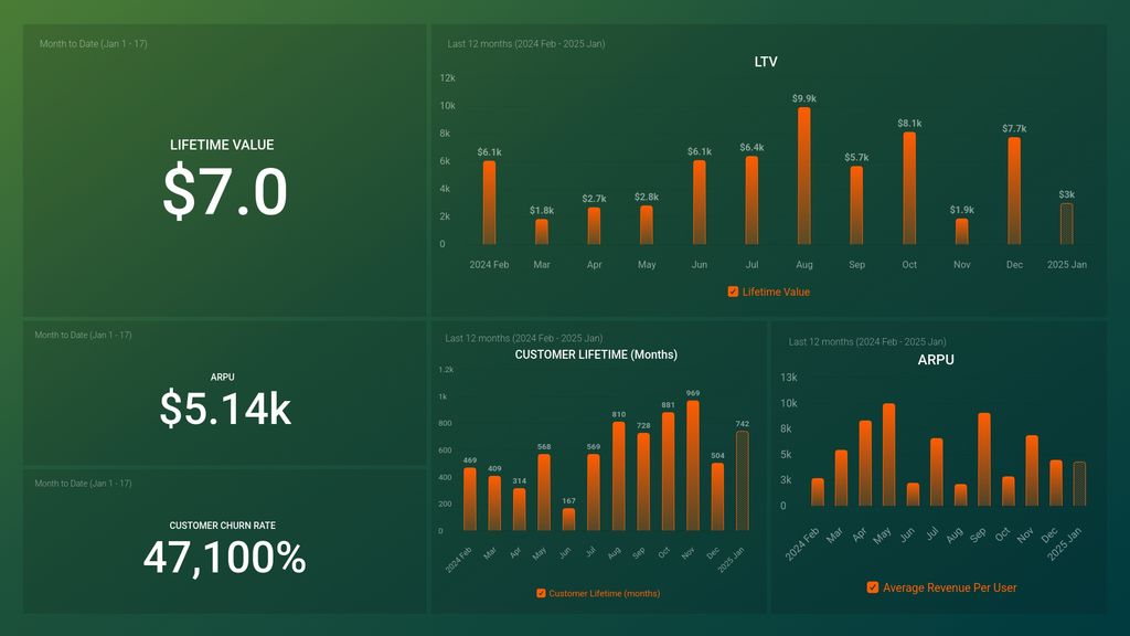 Profitwell SaaS LTV Dashboard Template for Decision-makers