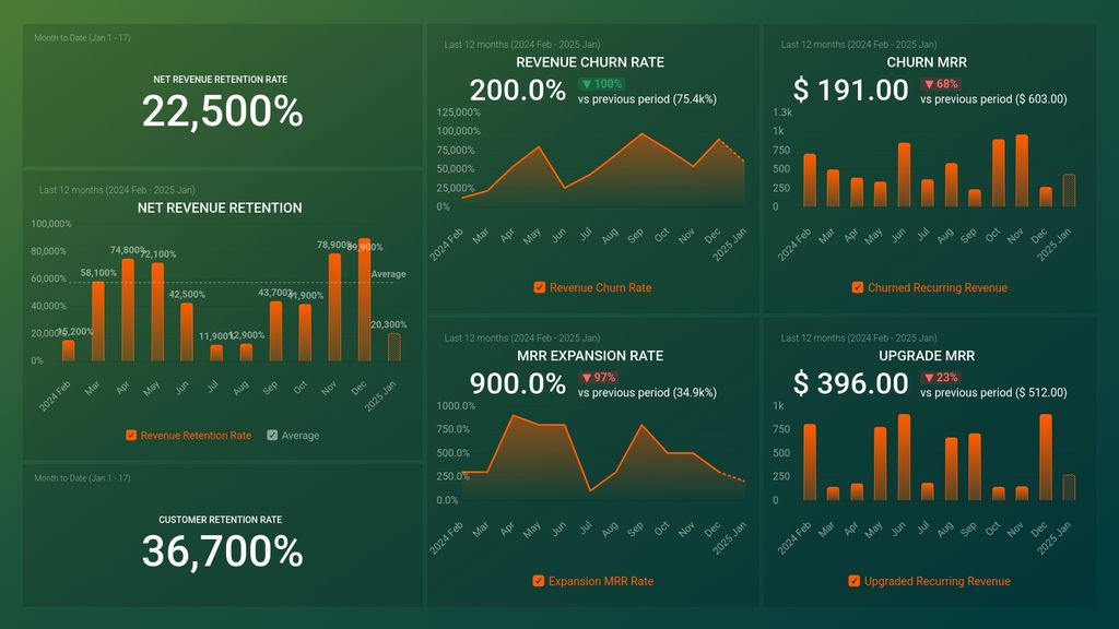 Profitwell SaaS Retention Dashboard for Decision-makers