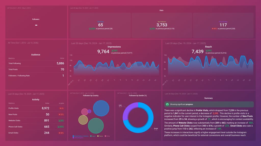 Instagram Business Profile Overview Dashboard Template