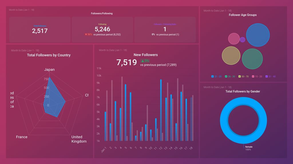 Instagram Business Audience Overview Dashboard Template