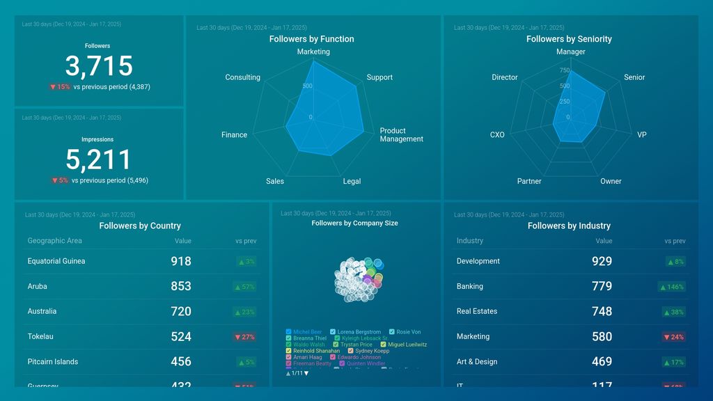 LinkedIn Demographics Overview Dashboard Template