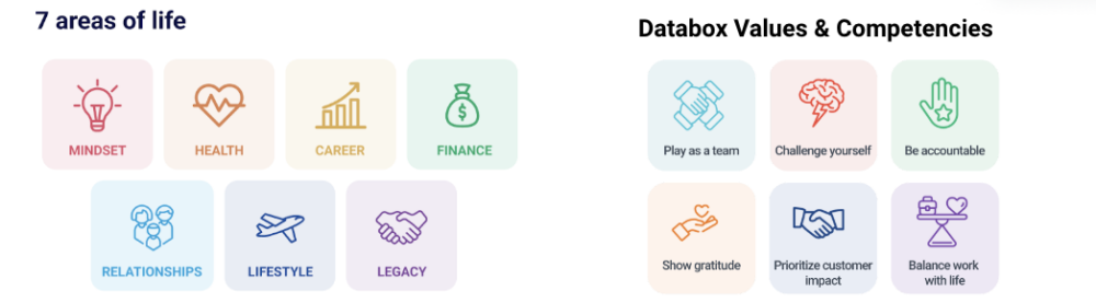 Databox Values Skills and Competencies